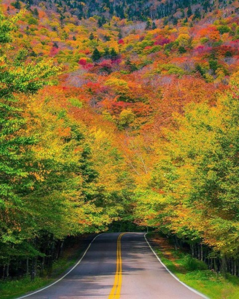 Agar sizning vaginangiz chaqsa