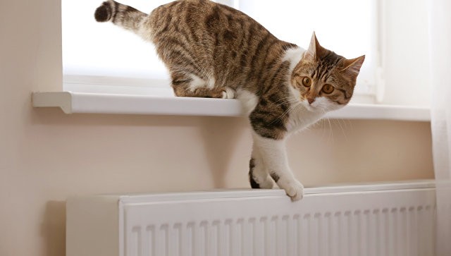 Aglaya Tarasova yalangoch