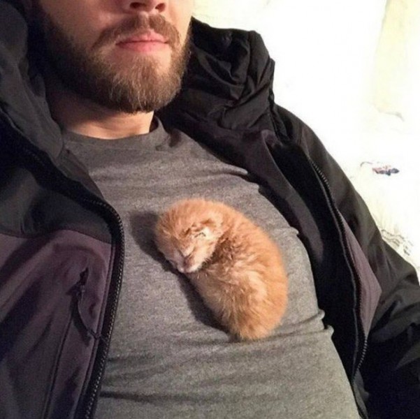 Yosh mushukcha fotosuratidagi birinchi paxmoq