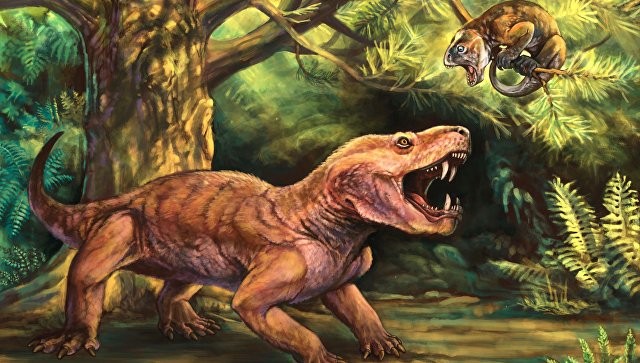 Yalangoch mushuk giflar oral seks