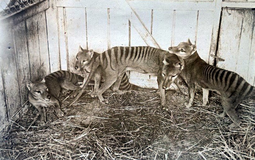 Ayollar behush erkaklarni sikishadi Poezd konduktorlarining porno videolarini tomosha qiling