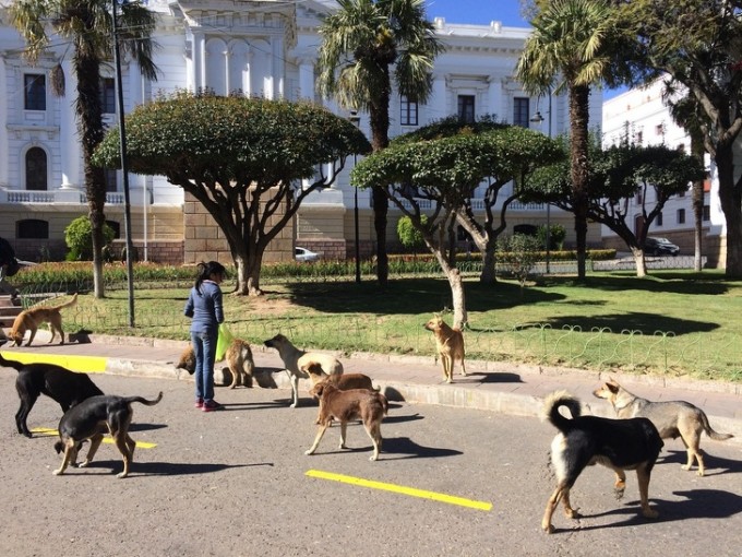 Sakura porno cosplay