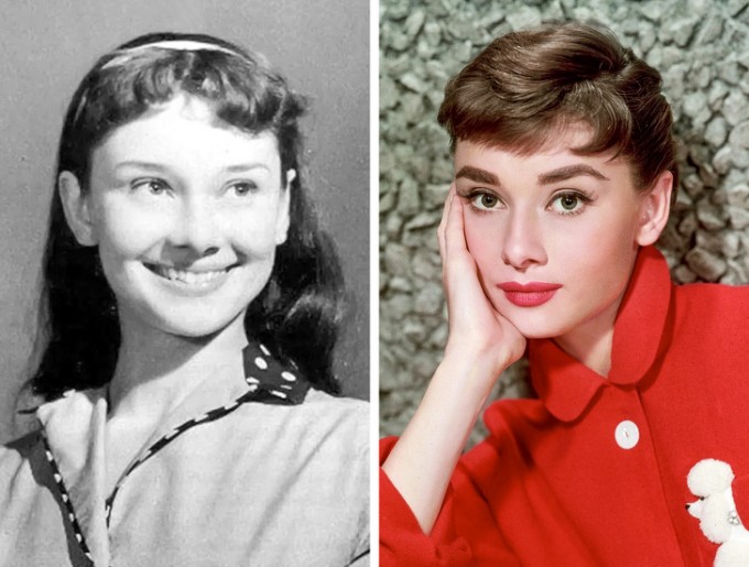 Katta eshaklar porno videolar