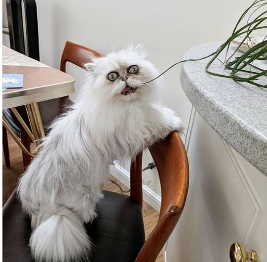 Jinsiy aloqa külot yechib holda, unda tugadi