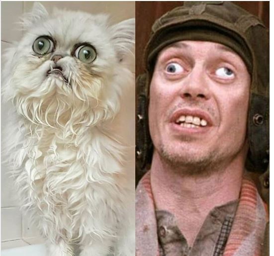 Xotinimni ishxonada davra o‘tkazishyapti