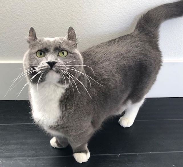 Vudmenning kastingida ruscha porno video