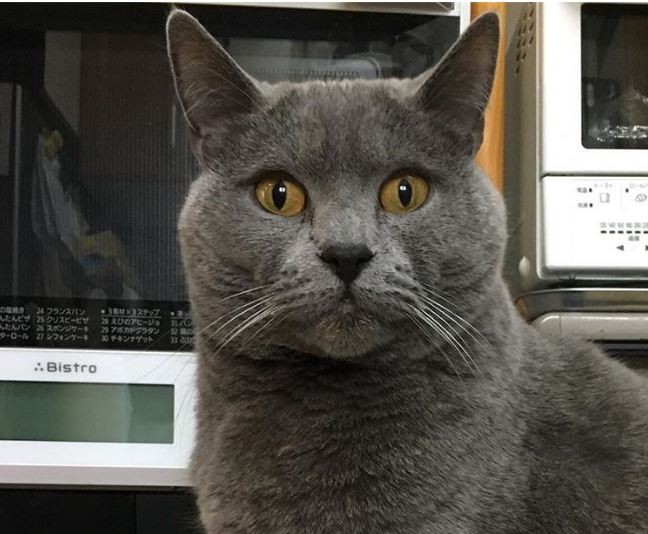 Pussy bir dick off jerks