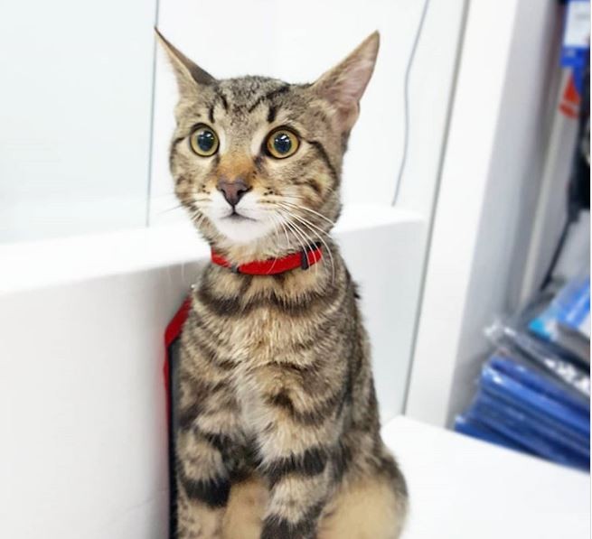 Xonim T.dan porno filmlar