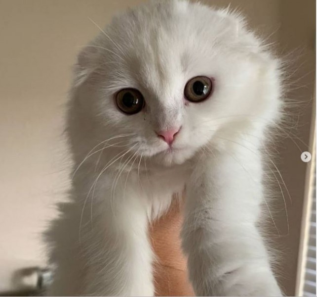 MBB-302A sirli kuchaytirgich sxemasi