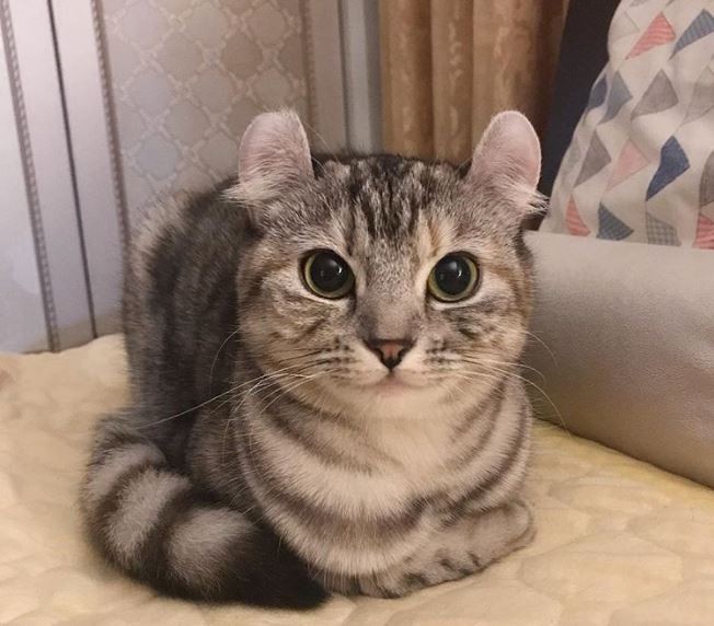 Erotika: uysizlar bilan mast bolish