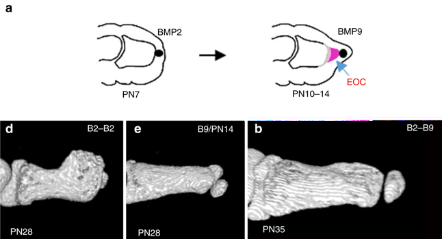 Famous Toons porno multfilmlarini tomosha qiling