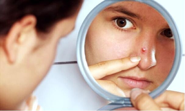 Ich kiyimdagi fotosuratlardagi katta eshaklar