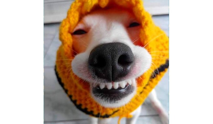 Chet el erotik filmlari sigaret chekayotgan qiz ishtirokida