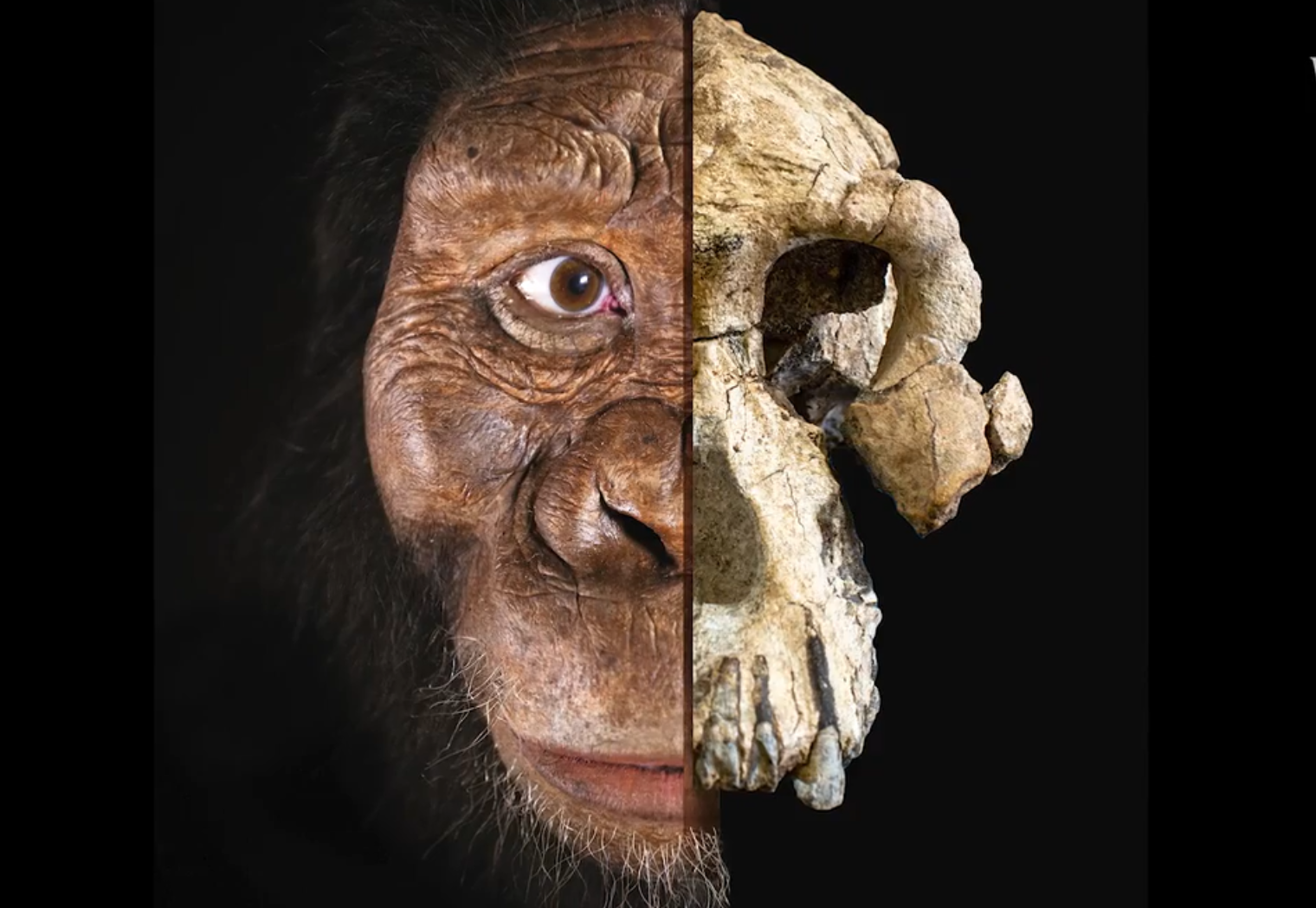 Jinsiy aloqada bolgan etuk lezbiyen ayollar