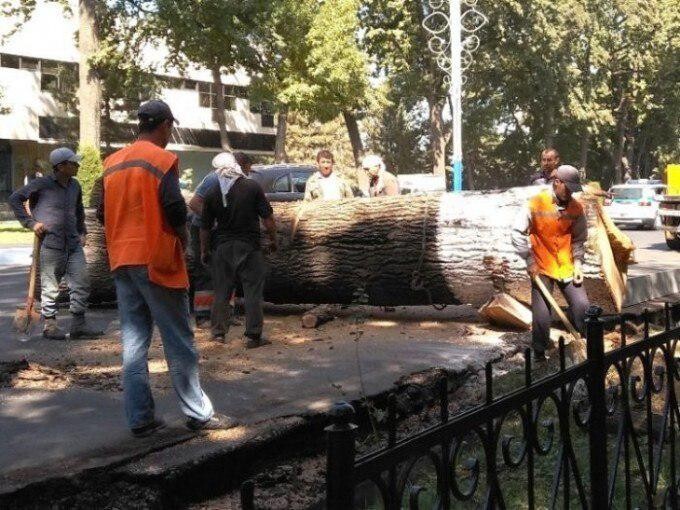 Porno sochli etuk kotiba