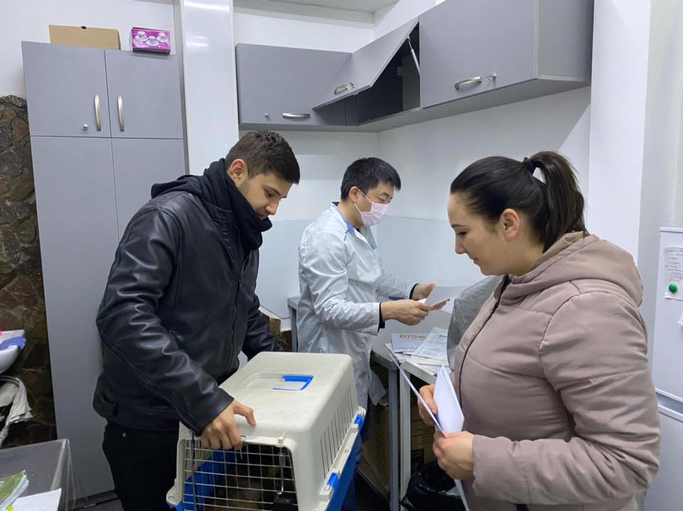 Viktoriya Talyshinskaya porno video tomosha