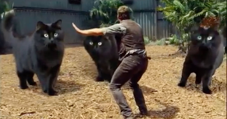 Porno odamlarni otlar bilan tomosha qiling Porno, ular ogzingizga tushadi va hamma narsa oqadi