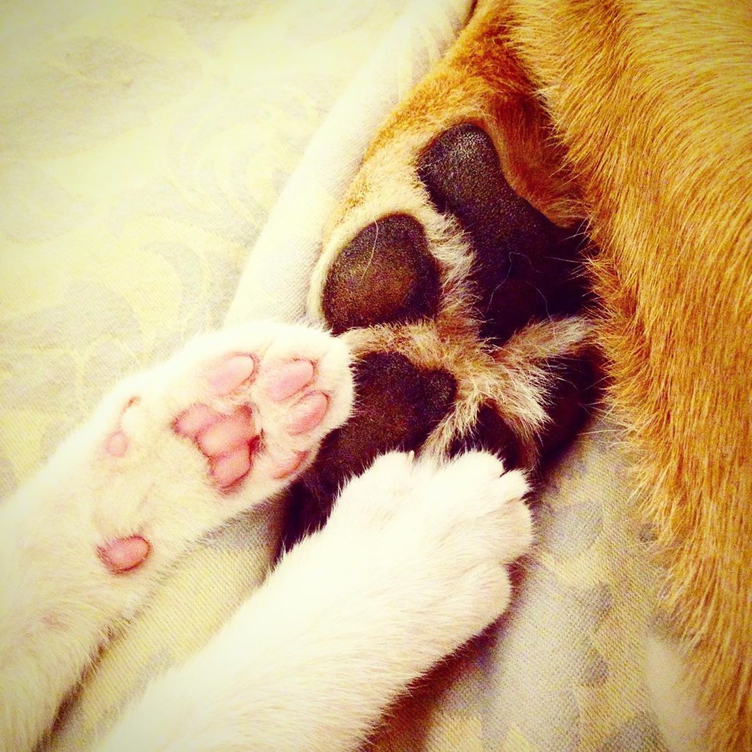 Bir qiz ommaviy plyajda onanizm bilan shugullanadi