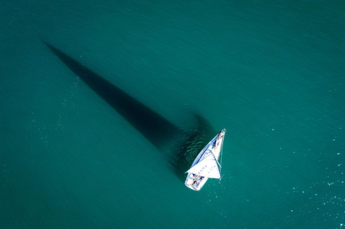 Rus porno aktrisasi Viola