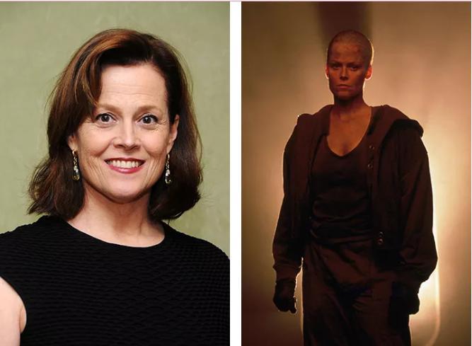 Mulatto ayolning külotdagi porno fotosurati