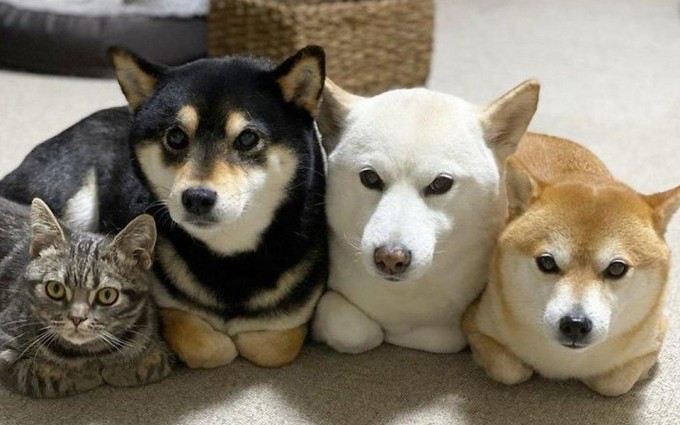 Toliq metrajli mashhur porno tomosha qiling