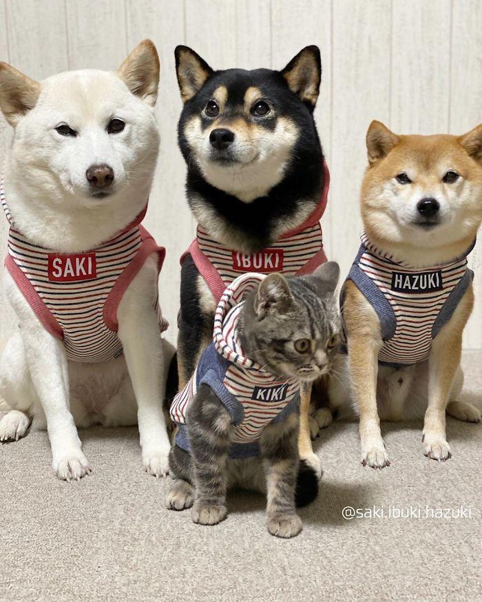 Partiya xotini porno Xotinining eshak porno video