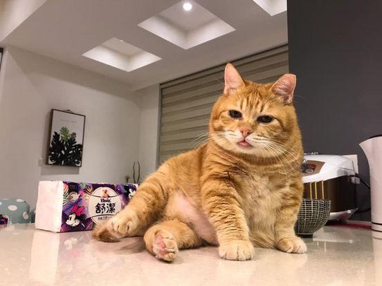 Winx jinsiy aloqa Winx porno