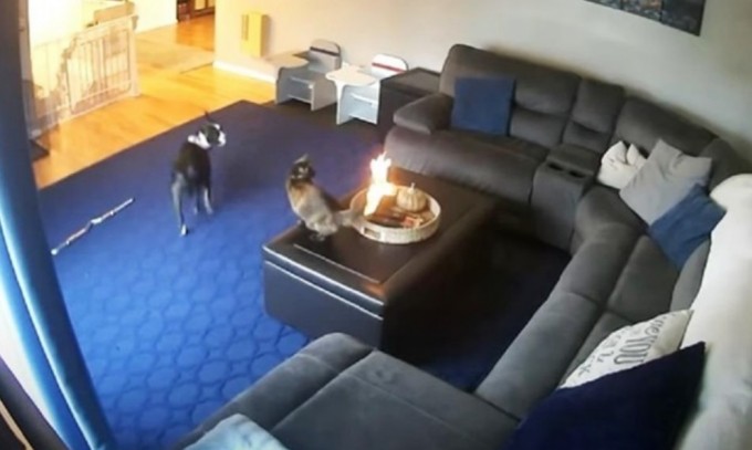 Qiz onanizm video dan qattiq cums