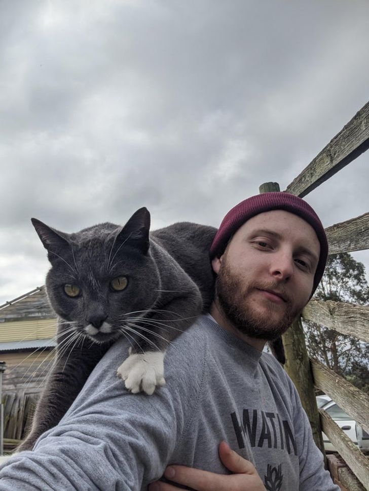 Anal VKontakte-da Griffin porno