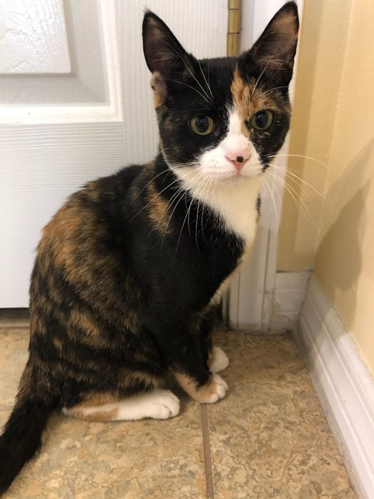 Ukrainalik modelning yalangoch fotosurati