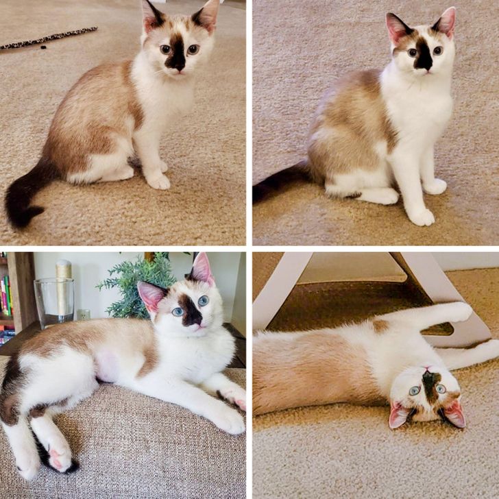 Jinsiy aloqa etuk va kurash