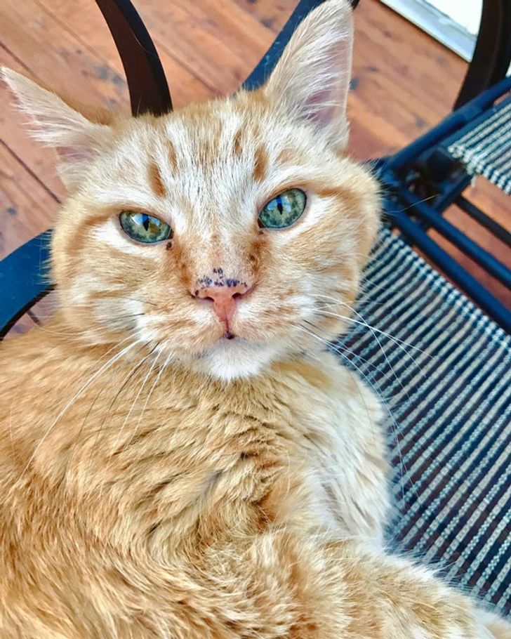 Bachelorette partiyalari uchun striptiz