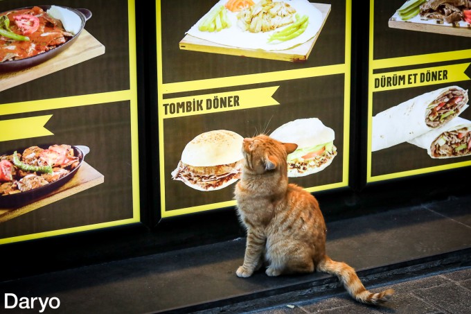 Chiroyli jinsiy olatni fotosuratlari