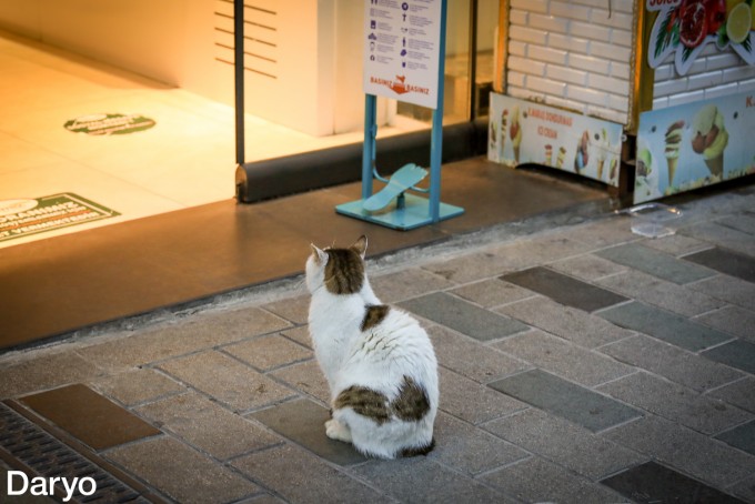 Boy porno tomosha qiling Seks ona ogil porno buvisi