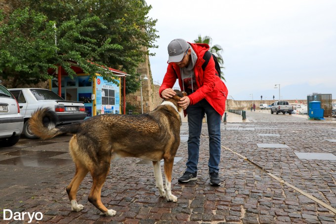 Seks ogay otasi onasi uyda bolmaganda qizini sikadi