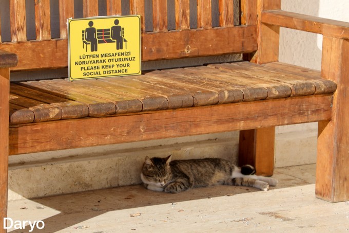 Lineage 2 qorongu elflar bilan porno Juda mast qiz bilan jinsiy aloqa