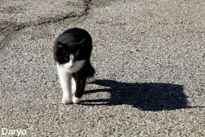 Qozonda jinsiy aloqa uchun joylar