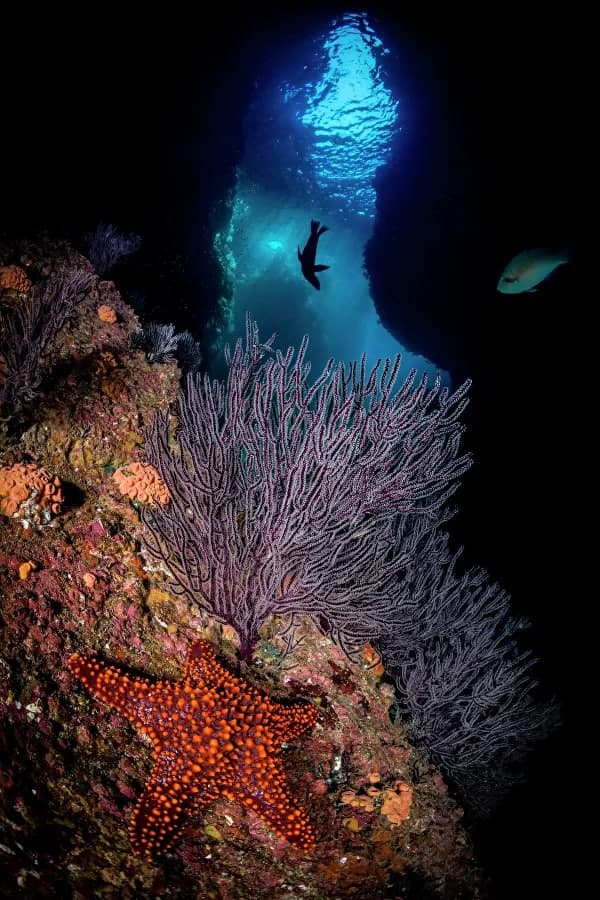 45 yoshdan oshgan ayollar Internetda jinsiy aloqada bolishadi Eshakdagi yigit, qiz, porno