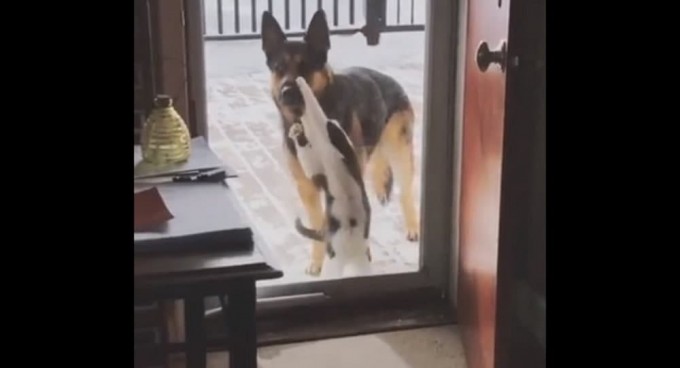 Paypoq kiygan oriq qizlar porno video Veronika Ciccone porno