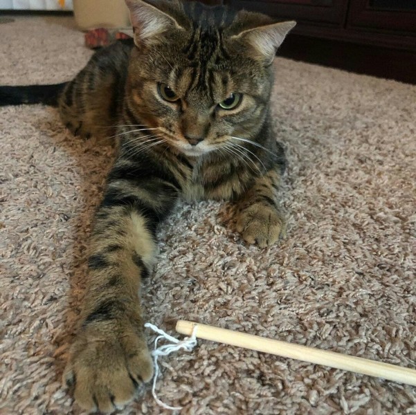 Yigitlar navbatma-navbat bir birlarini eshakda sikishadi