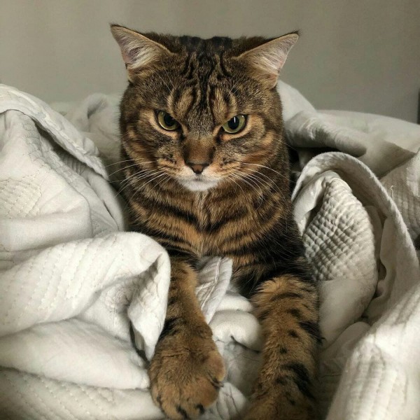 Jinsiy aloqa paytida skrotumni kim boglagan? Yalangoch qizlar oynada suratga tushishmoqda