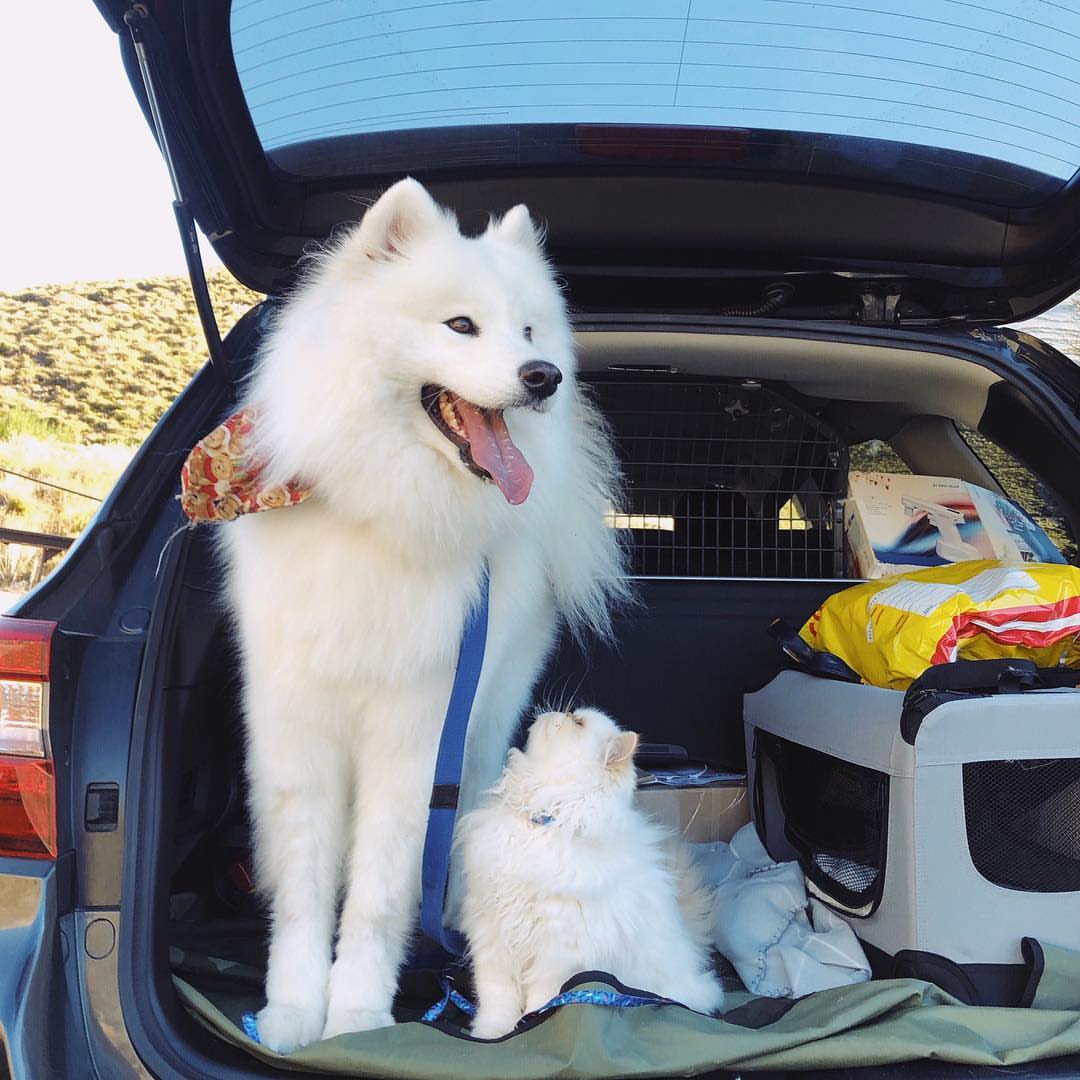 Eng mashhur rus porno aktrisa videolar