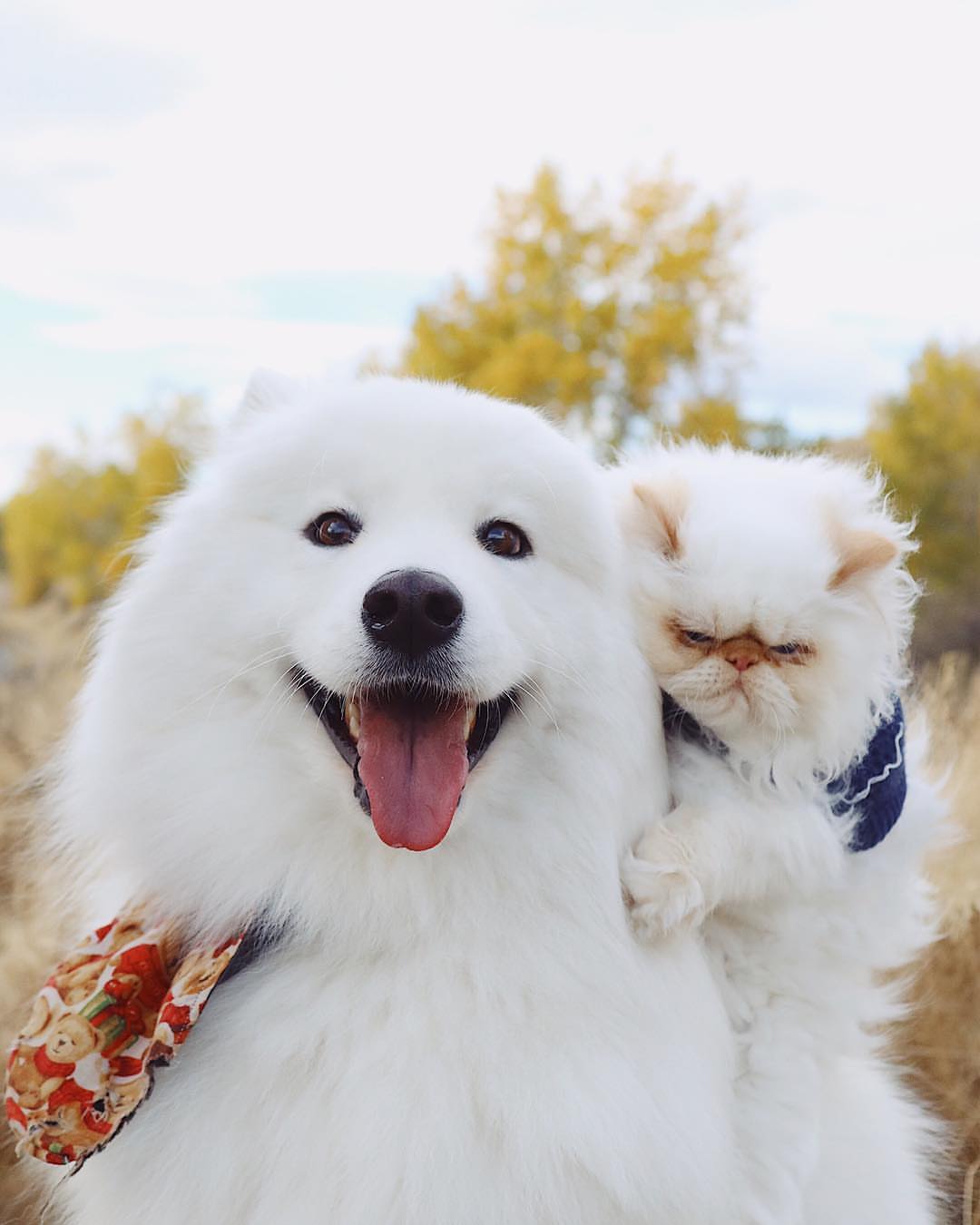 Yigitlar va erkaklar jim bolishadi