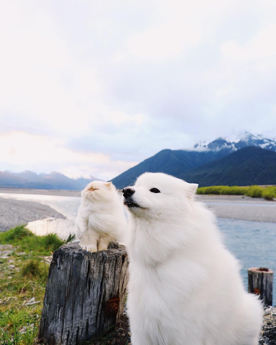Noziyai karomatullo erotika