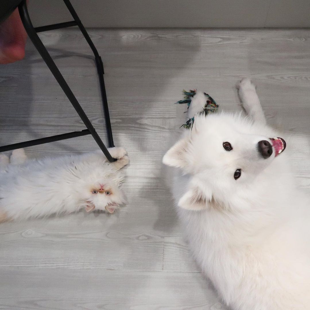 Voyaga etgan ayollar porno filmlar