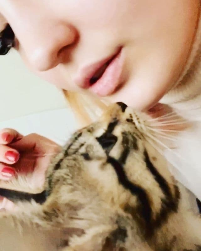 Yubka ostidagi panty porno onlayn tomosha qiling