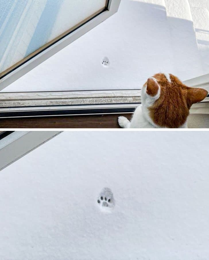 VKontakte ijtimoiy tarmogida ayollarning kamping videolari.