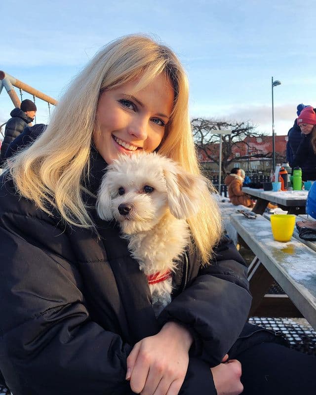 Yosh yigitni etuk ayol silkitadi