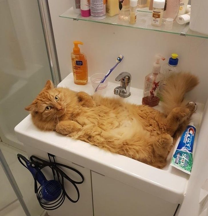 Tolkonovaning erotik fotosuratlari