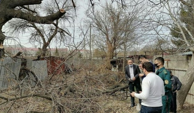 Onlayn raqamli porno TV